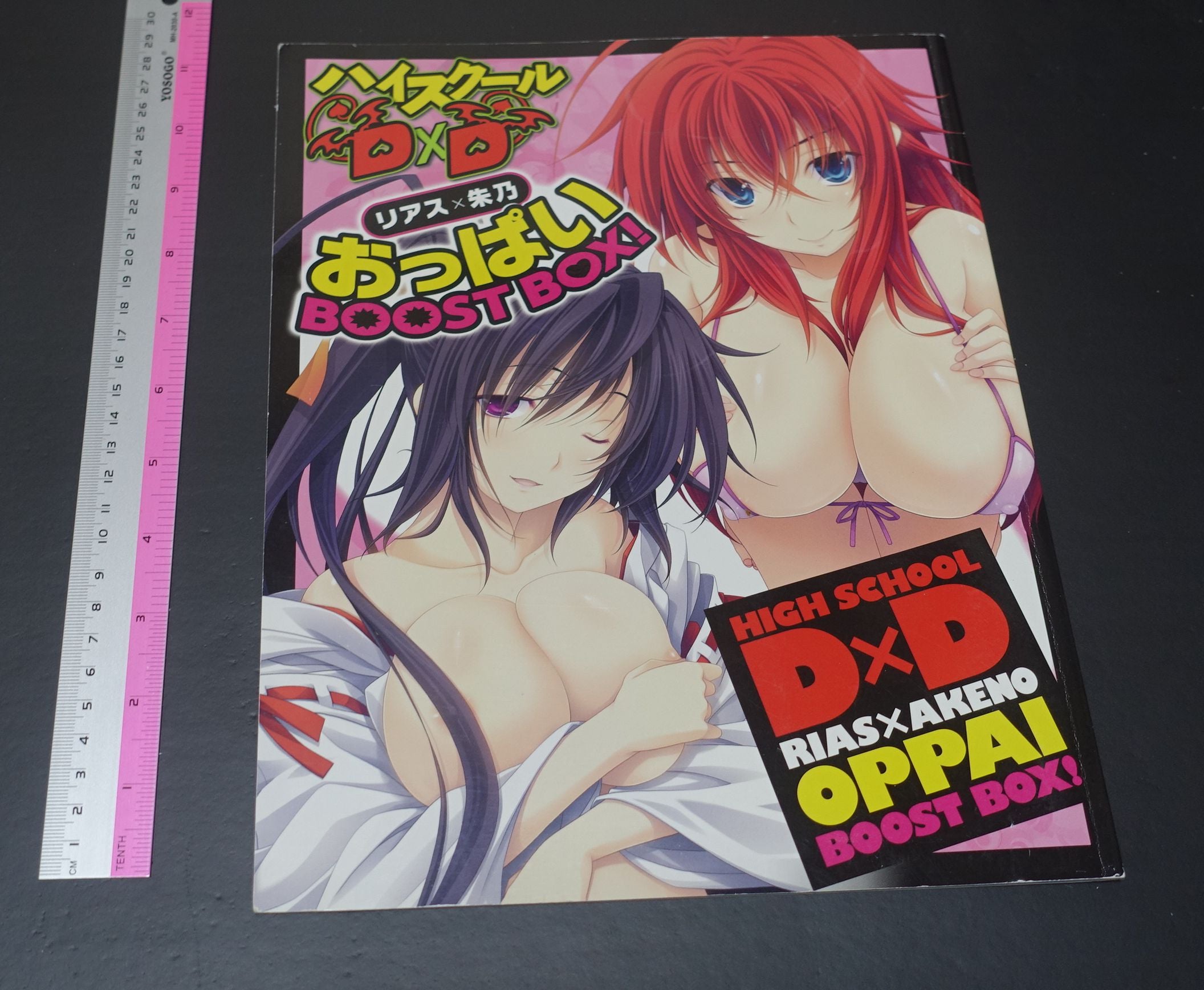 High School D x D Novel & Illustration Art Book OPPAI BOOST