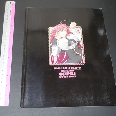 High School D x D Novel & Illustration Art Book OPPAI BOOST