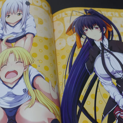 High School D x D Novel & Illustration Art Book OPPAI BOOST