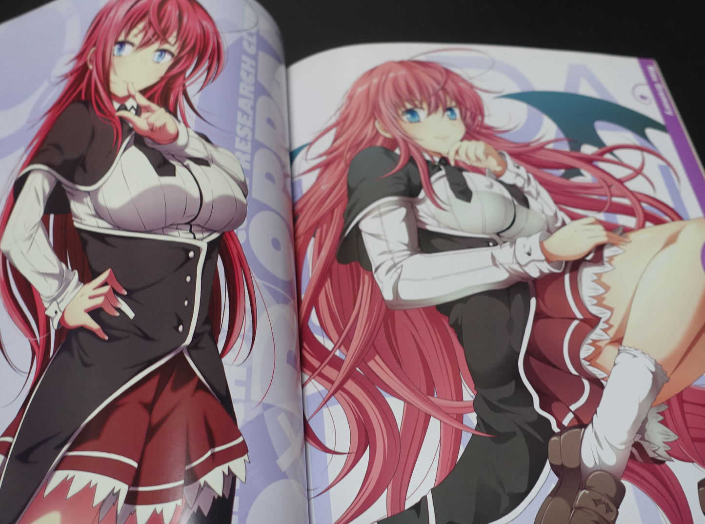 High School D x D Novel & Illustration Art Book OPPAI BOOST
