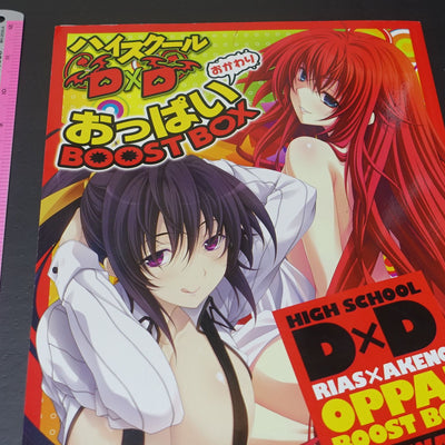 High School D x D Novel & Comic & Illustration Art Book OPPAI BOOST 2nd