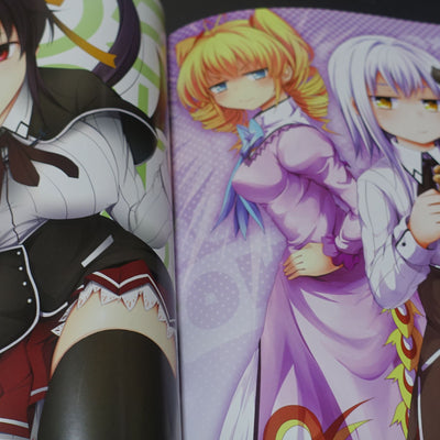 High School D x D Novel & Comic & Illustration Art Book OPPAI BOOST 2nd