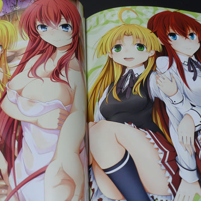 High School D x D Novel & Comic & Illustration Art Book OPPAI BOOST 2nd