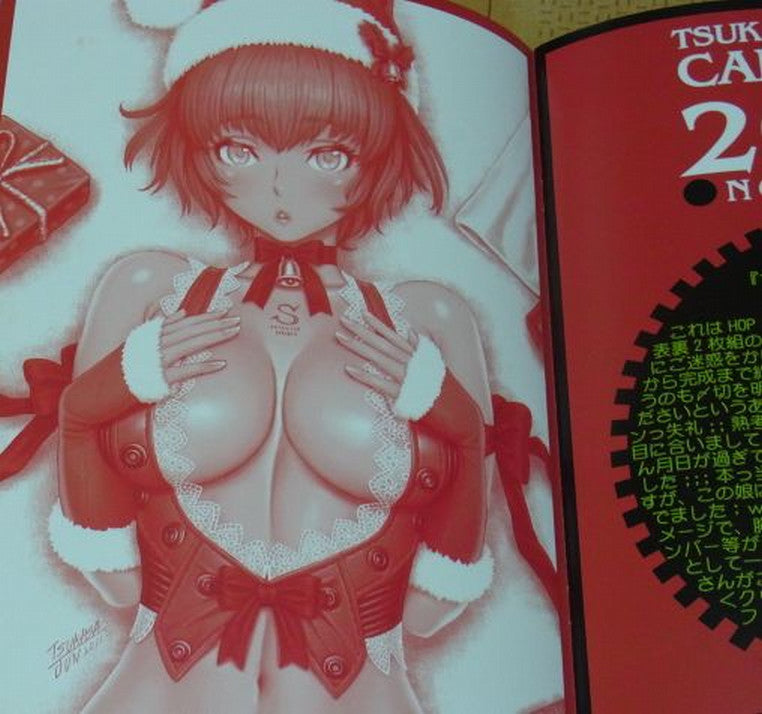 Tsukasa Jun Tsukasa Bullet CALENDAR ART BOOK 2013