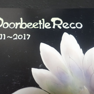 Akihito Tsukushi Doorbeetle Reco 2011-2017 Made in Abyss Author's Doujinshi C92