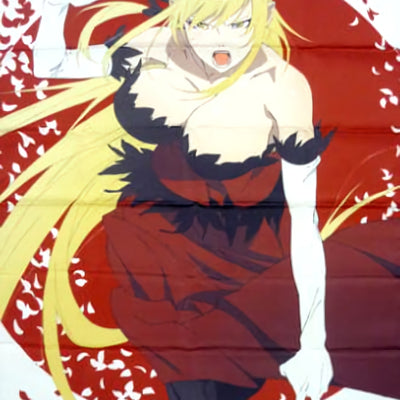 Bakemonogatari 51 x 72 cm Cloth Poster Kiss-Shot Kizumonogatari 1 Tekketsu hen