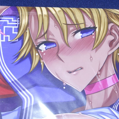 Honjou Raita Absolute Whiteness 23.0 & Complete Book & Event Exclusive FGO Book & Towel Set C103