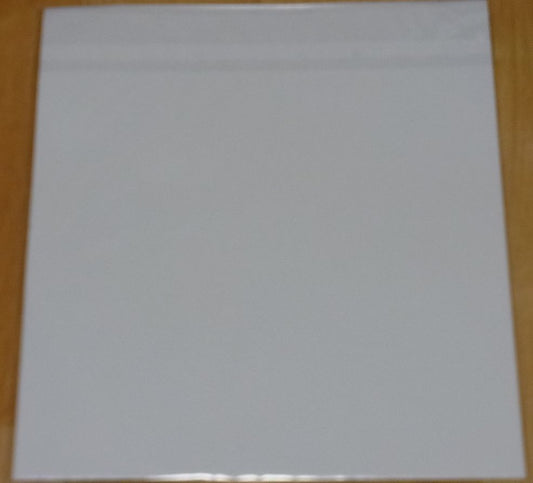 SWORD ART ONLINE ORDINAL SCALE Print Shikishi Art Sheet A