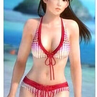 DEAD OR ALIVE 5 Leifang 51 x 72 cm Tapestry Wall Scroll