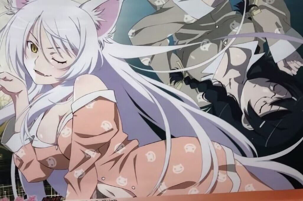 Bakemonogatari 42 x 59 cm Tapestry Tsubasa Hanekawa Nekomonogatari
