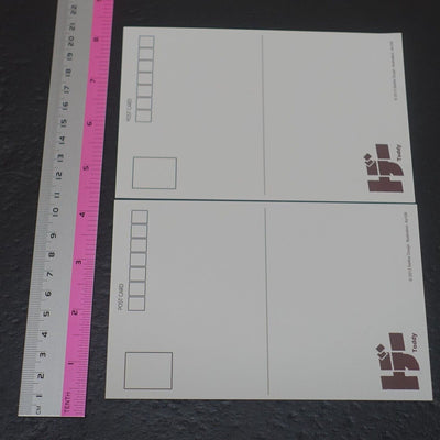 Seikei Doujin As109 Panty and Stocking Fan Art Post Card Set PSG &