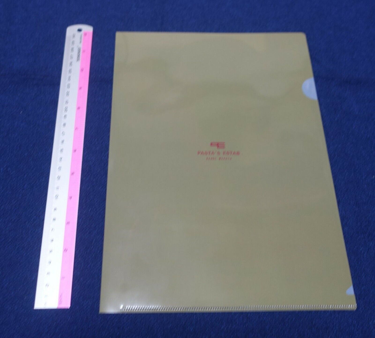 Range Murata PVC Art Sheet Clear File A