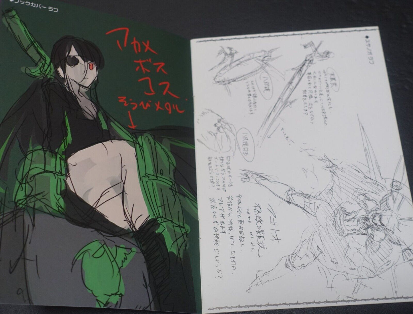 Tetsuya Tashiro Akame ga Kill! Rought Illustration Art Mini Booklet D 8page