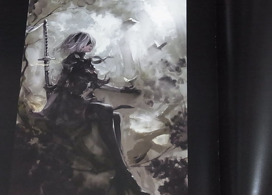 Kazama Raita Game Character Fan Art Book Nier Automata etc Black Box C94