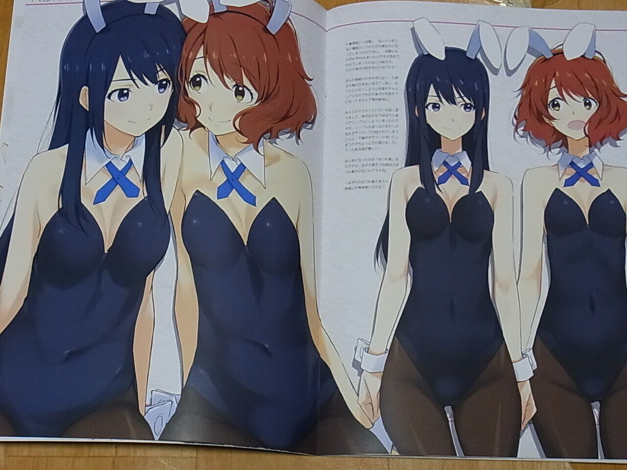 Tomoyasu Kurashima Liz and the Blue Bird Color Fan Art Book Iroiro LatBB