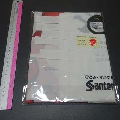 Evangelion Asuka Life Size Big Cloth Flag Poster FX