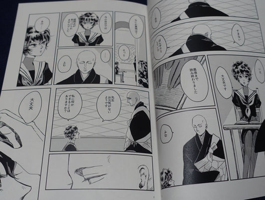 MEYYOU Houseki no Kuni Land of the Lustrous Fan Made Comic Twilight