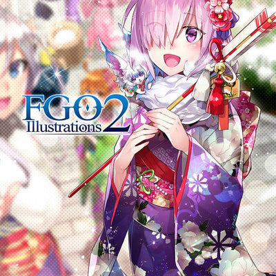 ReDrop & Raita Fate Grand Order Color Fan Art Book 11 Set FGO Illustrations