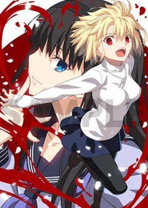 MELTY BLOOD TYPE LUMINA 51 x 72 cm Tapestry Wall Scroll ARCUEID & AKIHA