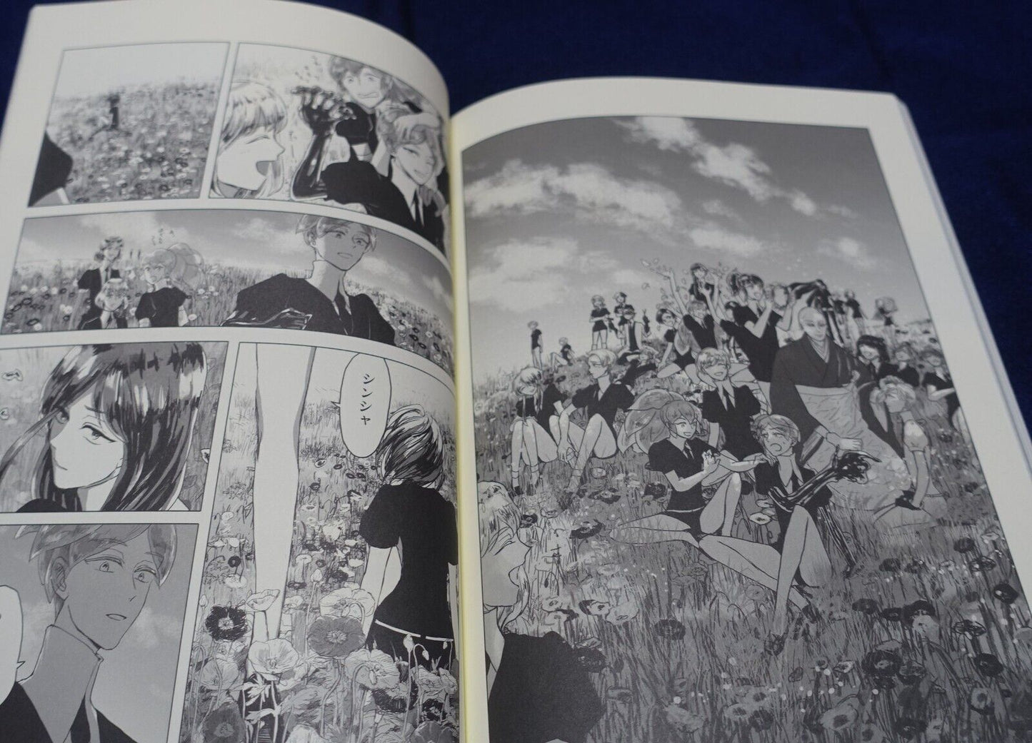 misoka Houseki no Kuni Land of the Lustrous Fan Made Comic Ai ha Hana