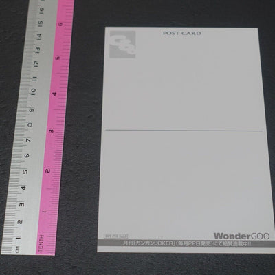 Tetsuya Tashiro Akame ga Kill! e-Wondergoo Privilege Art Post Card Mine