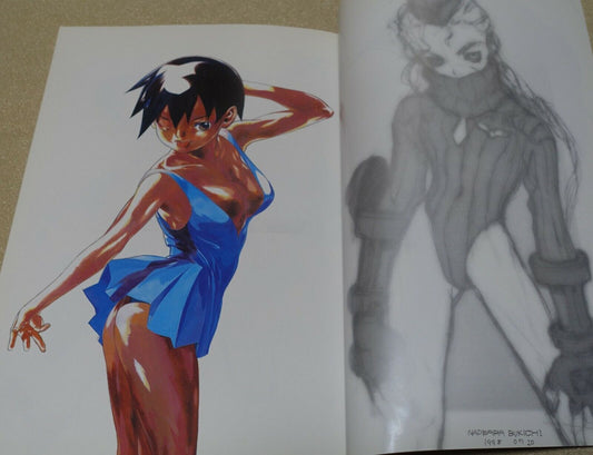 Kanoe Yushi Street Fighter Fan Art Book Street Fighter and Capcom Characters etc