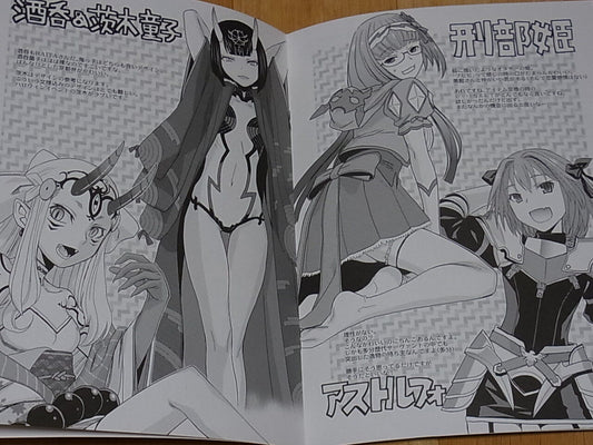 Rei Hiroe Fate FGO Illustration Fan Art Book FGO Orihon C93