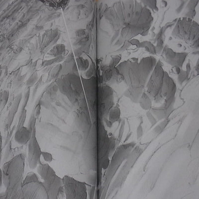 Akihito Tsukushi Original Comic from star strings