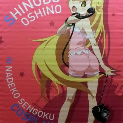 Bakemonogatari 51 x 72 cm Tapestry Shinobu Oshino Nadeko Costume