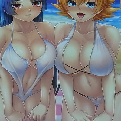 TAIMANIN ASAGI BATTLE ARENA CHARACTER VISUAL BOOK 4 NINJA GIRL