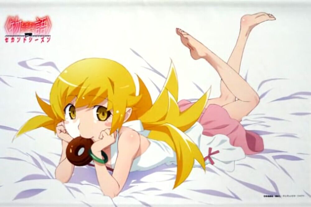 Bakemonogatari 51 x 72 cm Tapestry Shinobu Oshino Anime Japan 2014