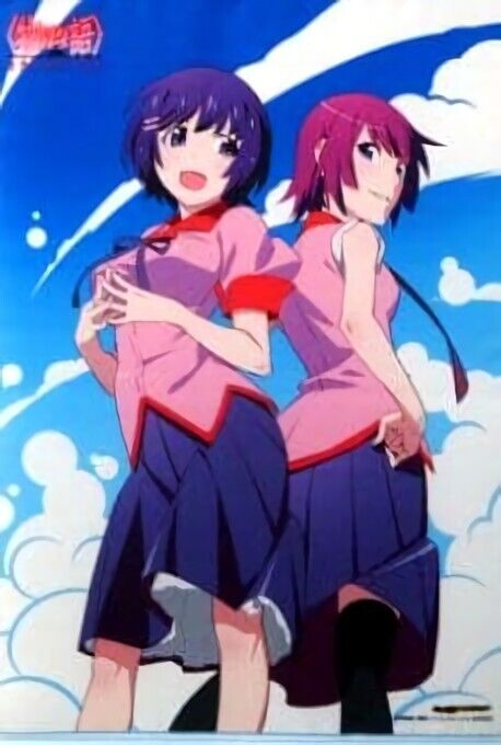 Bakemonogatari 51 x 72 cm Tapestry Hitagi & Tsubasa