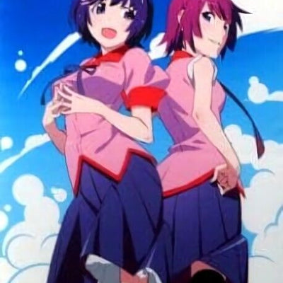 Bakemonogatari 51 x 72 cm Tapestry Hitagi & Tsubasa