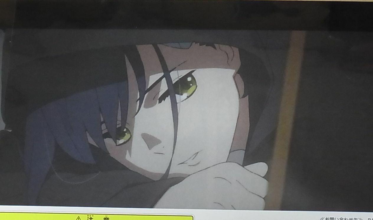 Darling in the Franxx Lottery A4 Size Clear Poster 20 pieces Set