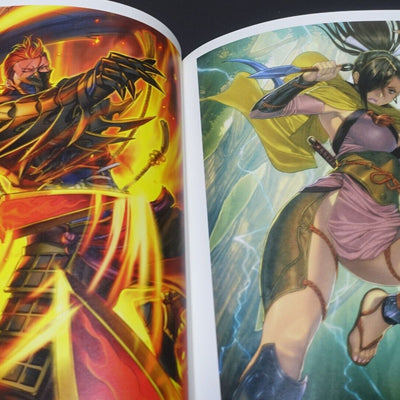 Fire Emblem 0 Cipher ART WORKS Book Vol.1 & 2 Set