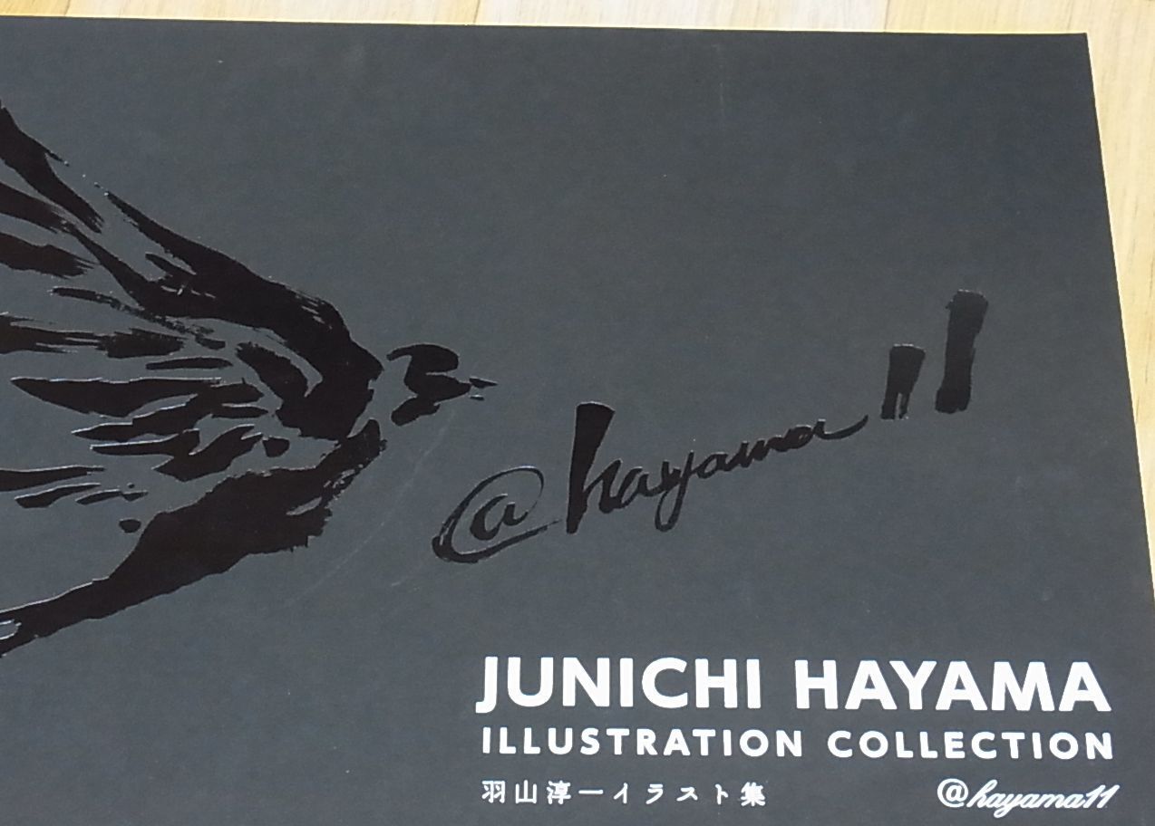 JUNICHI HAYAMA ILLUSTRATION COLLECTION 156page