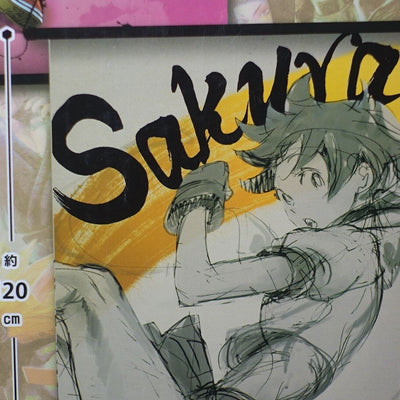 Ultra Street Fighter 4 Big Tapestry 120 x 65 cm SAKURA White & Black ver