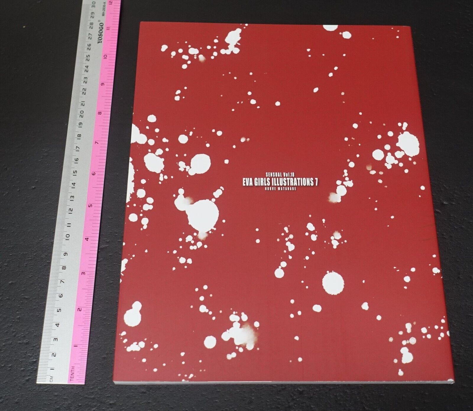 Castlism EVANGELION Fan Art Book EVA GIRLS ILLUSTRATIONS 7