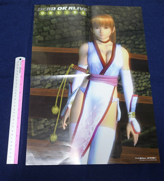 Dead Or Alive Online Ayane & Kasumi Reversible Poster A