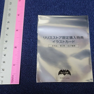 Taimanin Asagi Illustration Card 2nd Season Rare Card Lieri Bishop