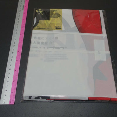 Evangelion Asuka Life Size Big Cloth Flag Poster FX