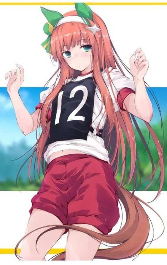 Daten Uma Musume Color Fan Art Book UMA plus plus C100 Pre-Order
