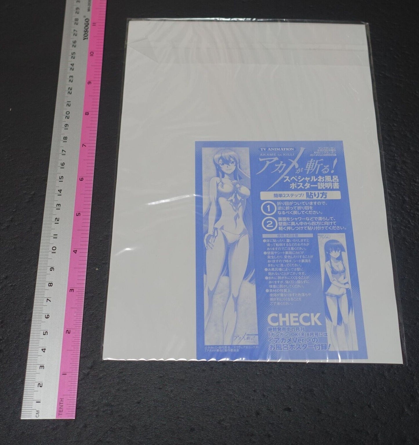Akame ga Kill! Warter Resistant Poster 75 x 15 cm Esdeath