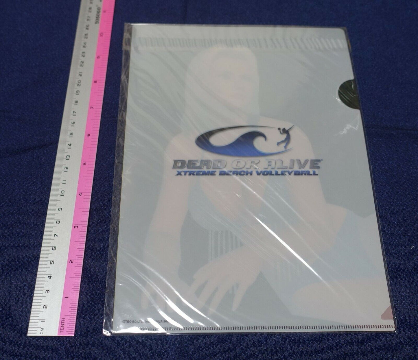 Dead or Alive Xtreme PVC Art Sheet Clear File Tina