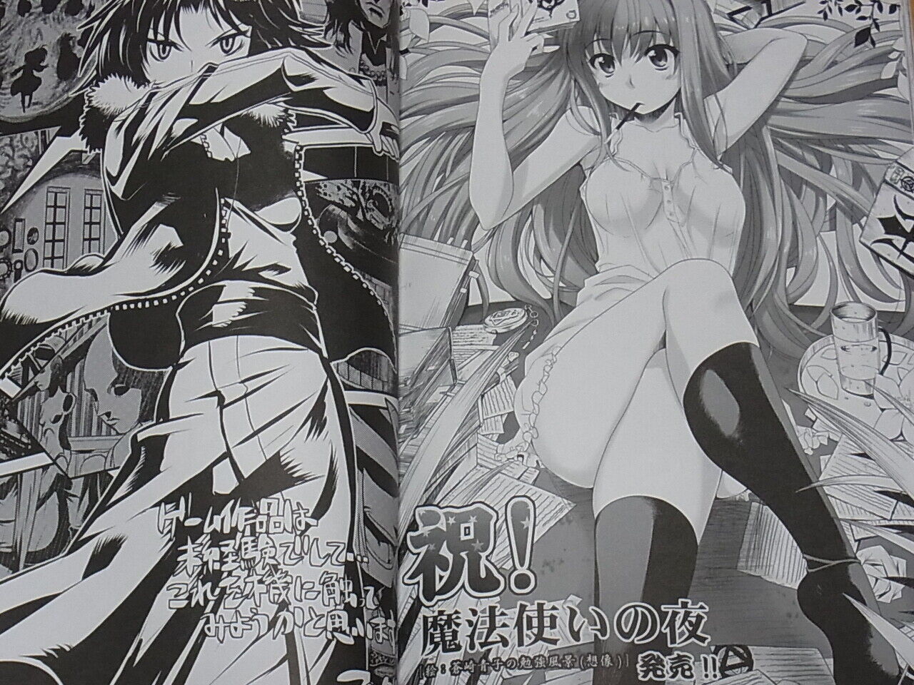 TYPE-MOON WICH ON THE HOLY NIGHT Official Fan Art Book Premiere Mah?tsukai no