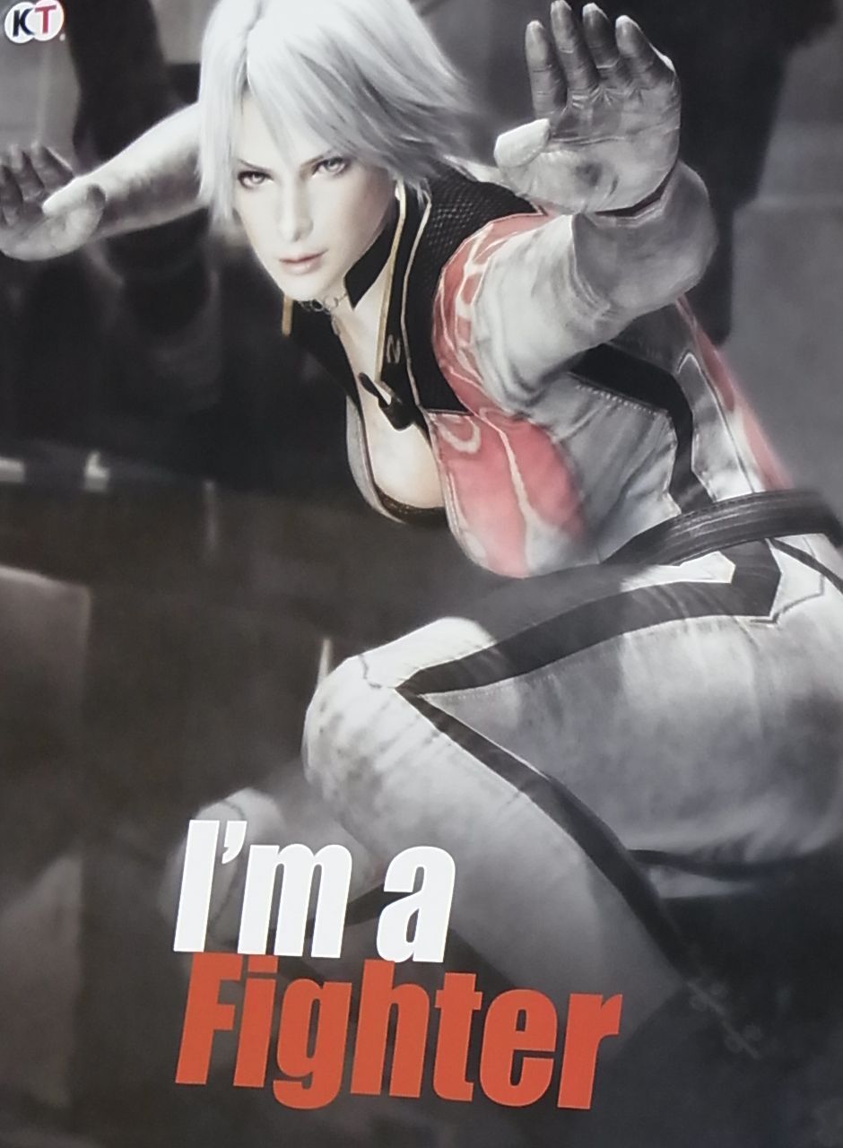 Dead Or Alive 5 Privilege Item I'm a Fighter Poster B2 Big Size Christie