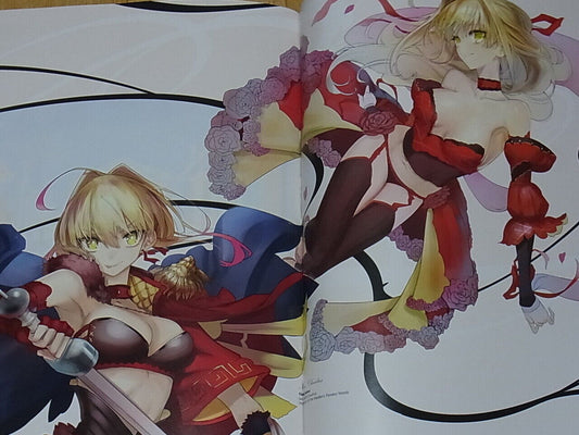 mins Fate FGO Color Fan Art Book DIVE