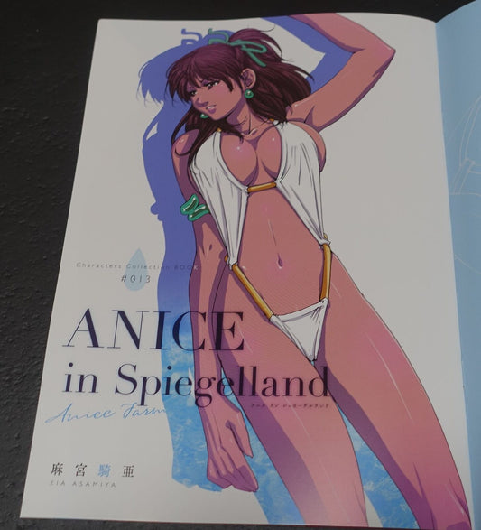 Kia Asamiya Sonic Soldier Borgman Designer's Fan Art Book ANICE in Spiegelland