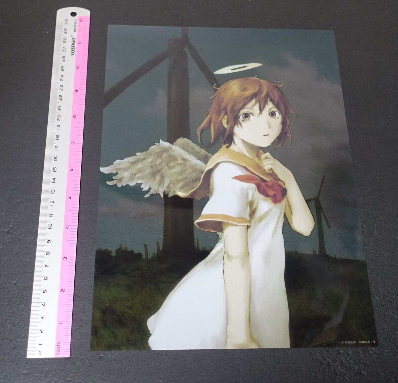 Yoshitoshi Abe Haibane Renmei 30 x 21 cm PVC Clear Poster A Rakka