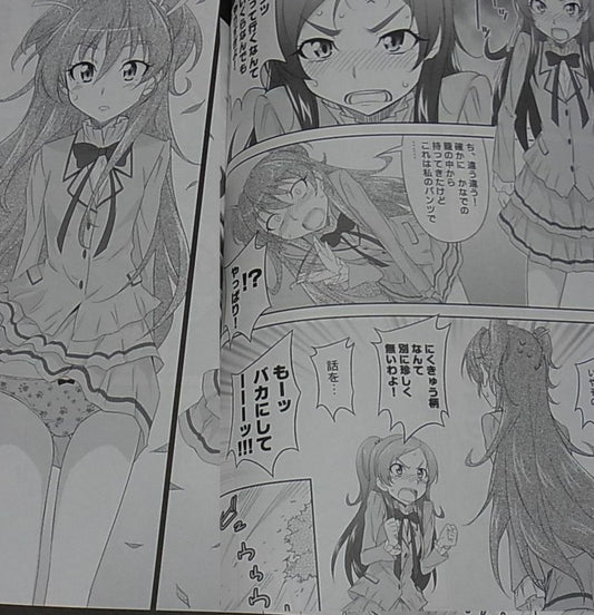 Metamorphose Suite Precure Fan Doujinshi Tokyo Turimeland 6